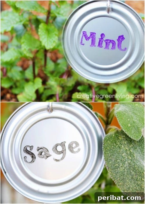 Elevate Your Garden: 25 DIY Markers for Beauty and Organization 11 Recycled Aluminum Can Lid Garden Markers