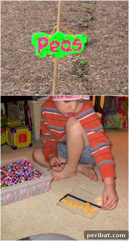 Elevate Your Garden: 25 DIY Markers for Beauty and Organization 12 DIY Fuse Bead Plant Markers