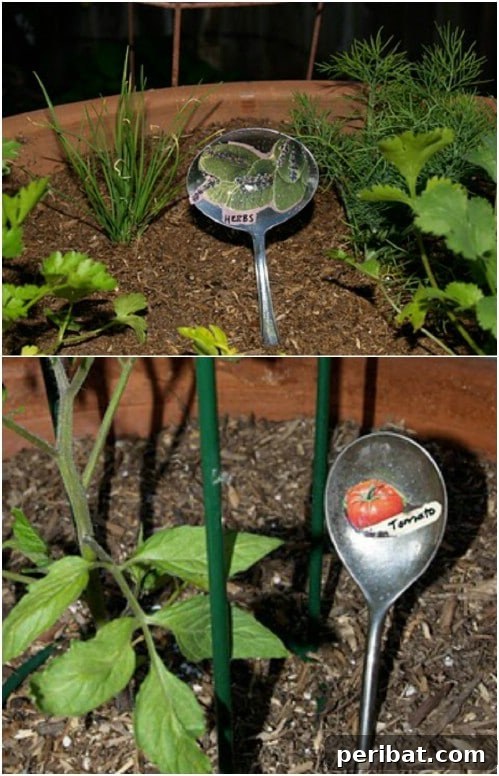 Elevate Your Garden: 25 DIY Markers for Beauty and Organization 15 Repurposed Silver Spoon Plant Markers