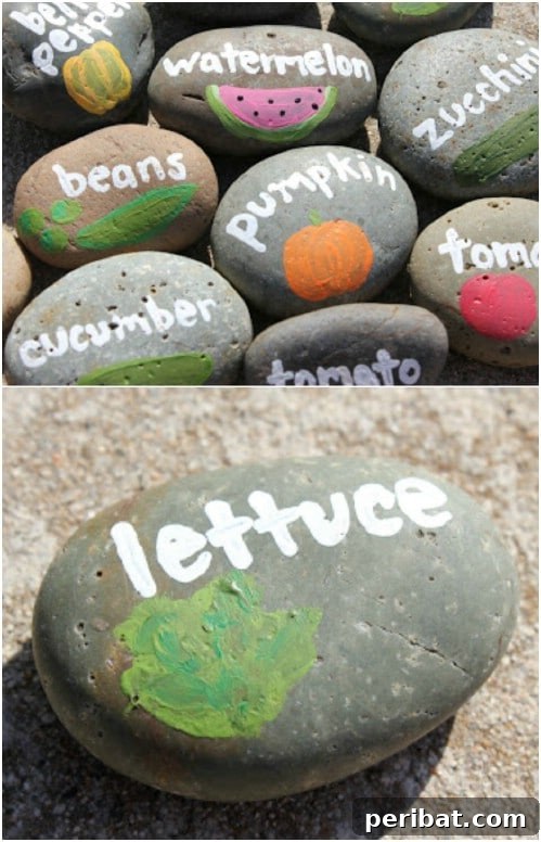 Elevate Your Garden: 25 DIY Markers for Beauty and Organization 17 Hand Painted Rock Garden Markers