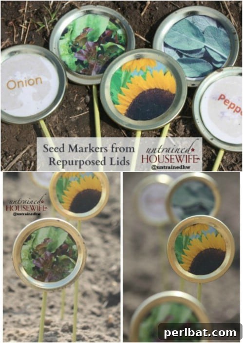 Elevate Your Garden: 25 DIY Markers for Beauty and Organization 5 DIY Painted Canning Lid Jar Markers
