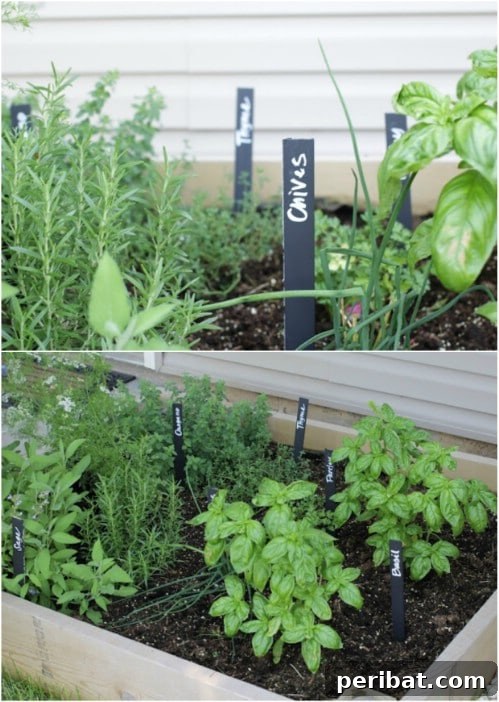 Elevate Your Garden: 25 DIY Markers for Beauty and Organization 6 DIY Chalkboard Paint Stick Garden Markers