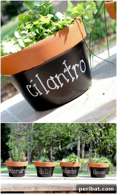 Dış Mekanlara Estetik Katan 25 Kendin Yap Saksı Fikri 16 DIY Chalkboard Planters: Customizable Herb Garden Markers