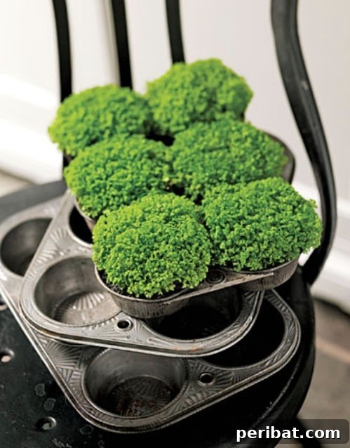 Dış Mekanlara Estetik Katan 25 Kendin Yap Saksı Fikri 20 Upcycled Muffin Tin Planters: Mini Garden for Succulents and Herbs