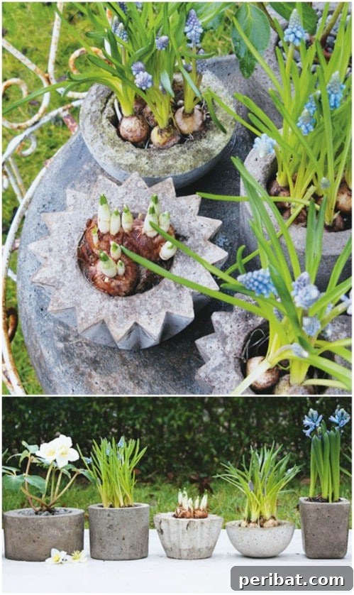 Dış Mekanlara Estetik Katan 25 Kendin Yap Saksı Fikri 8 DIY Concrete Planters: Versatile and Inexpensive Garden Containers