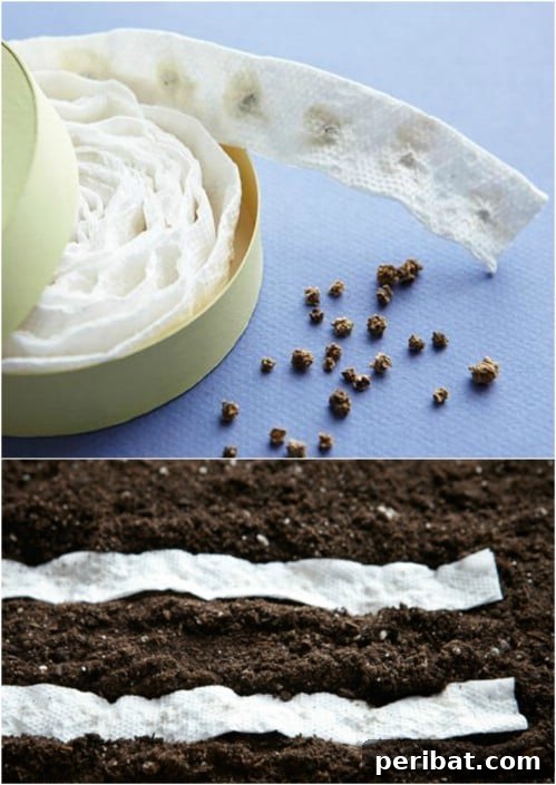 20 Creative Homemade Gifts for Garden Enthusiasts 8 DIY Garden Seed Tape