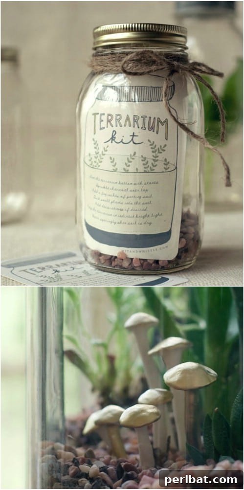 20 Creative Homemade Gifts for Garden Enthusiasts 10 DIY Terrarium Kit For Gardeners