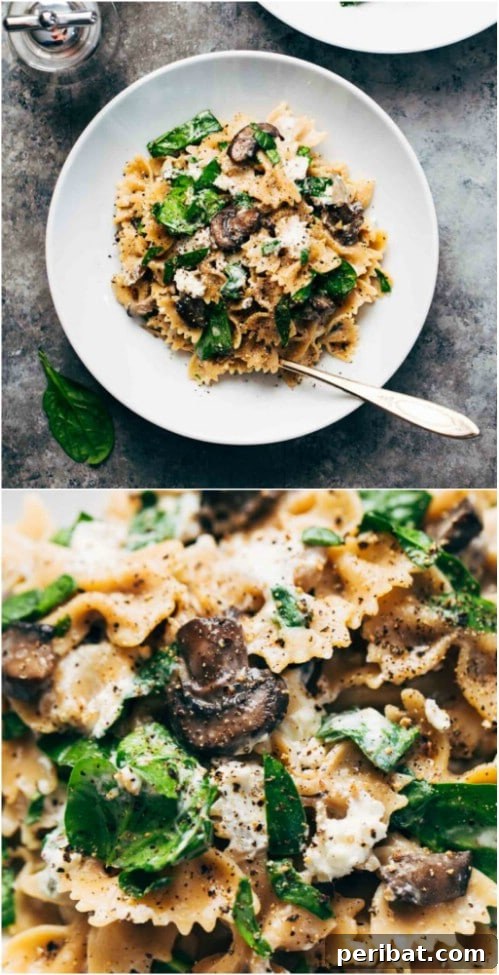 Exquisite Valentine's Day Delights for Two 15 Easy Mushroom And Goat Cheese Pasta