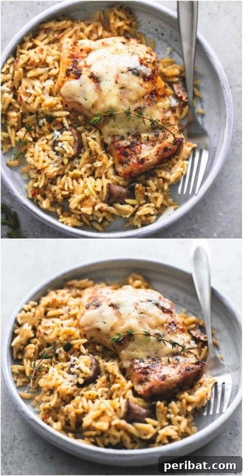 Exquisite Valentine's Day Delights for Two 19 Herb Chicken With Orzo