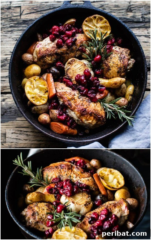 Exquisite Valentine's Day Delights for Two 27 Cranberry Roasted Chicken With Potatoes