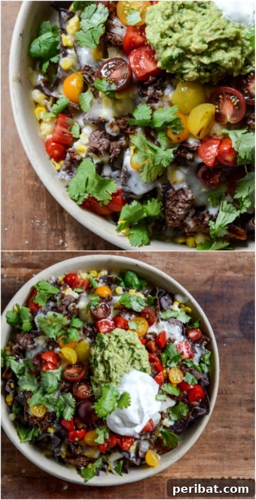 Exquisite Valentine's Day Delights for Two 10 Carne Asada Nachos