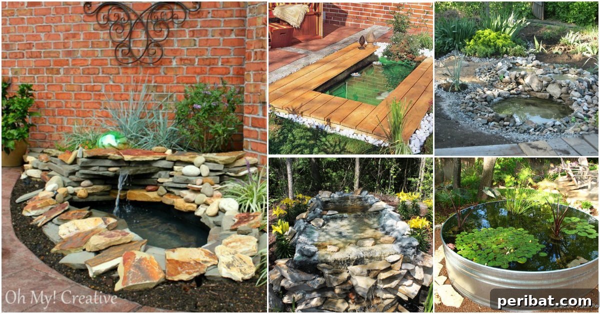 15 Budget Friendly DIY Garden Ponds You Can Make This Weekend
