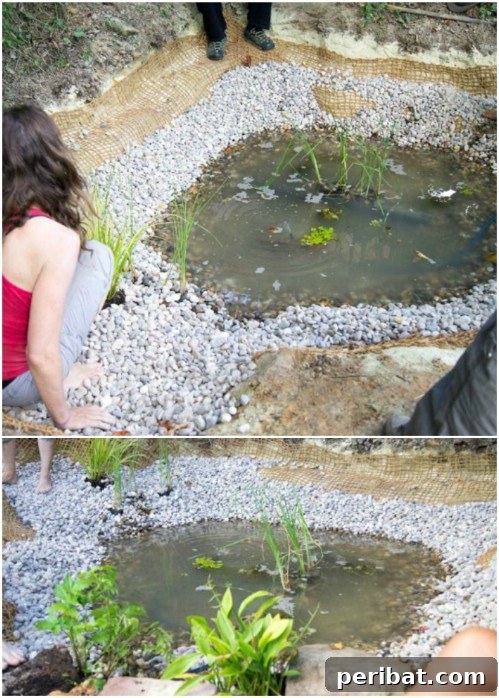 DIY Ecological Liner-Less Natural Garden Pond