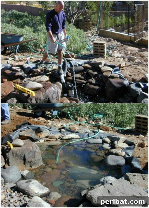 DIY Pond And Stream With Waterfall