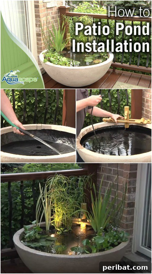 Lighted Zen Container Pond