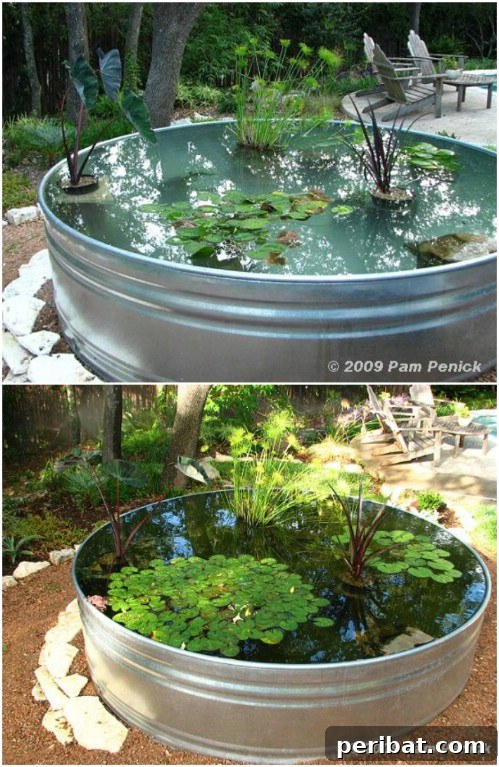 Repurposed Stock Tank Garden Pond
