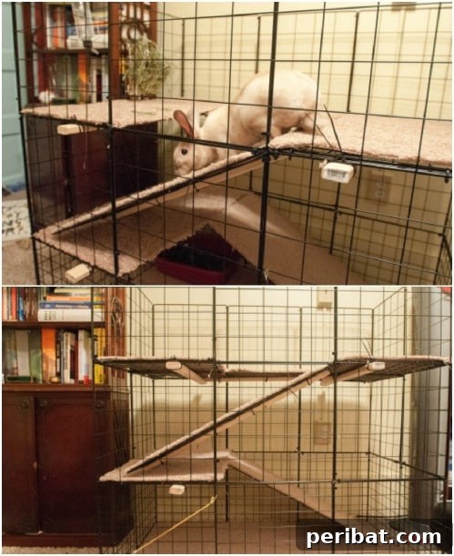 Effortless Bunny Keeping 10 Free DIY Rabbit Hutch Blueprints 11 Large DIY Indoor Cage