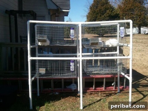 Effortless Bunny Keeping 10 Free DIY Rabbit Hutch Blueprints 12 Easy DIY PVC Pipe Rabbit Hutch