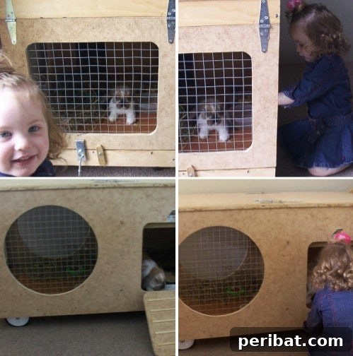 Effortless Bunny Keeping 10 Free DIY Rabbit Hutch Blueprints 4 DIY Portable Rolling Rabbit Hutch