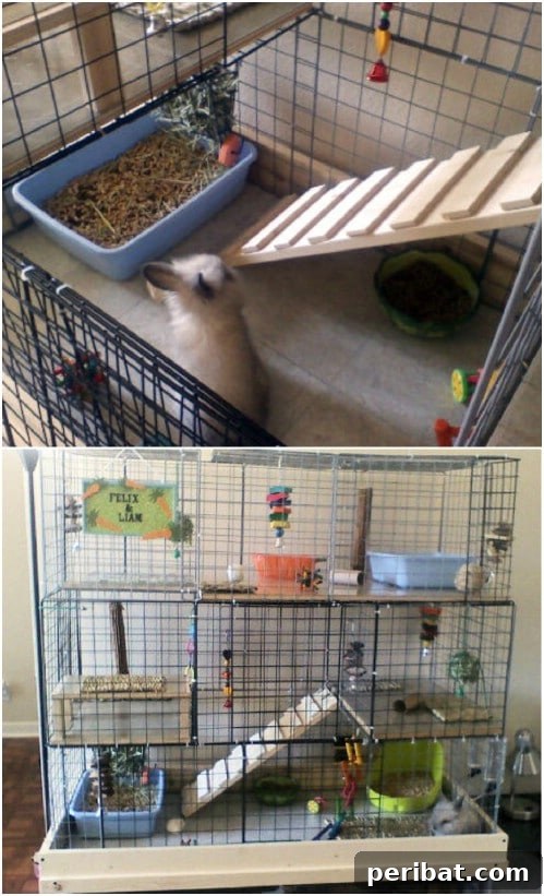 Effortless Bunny Keeping 10 Free DIY Rabbit Hutch Blueprints 5 Simple DIY Rabbit Cage