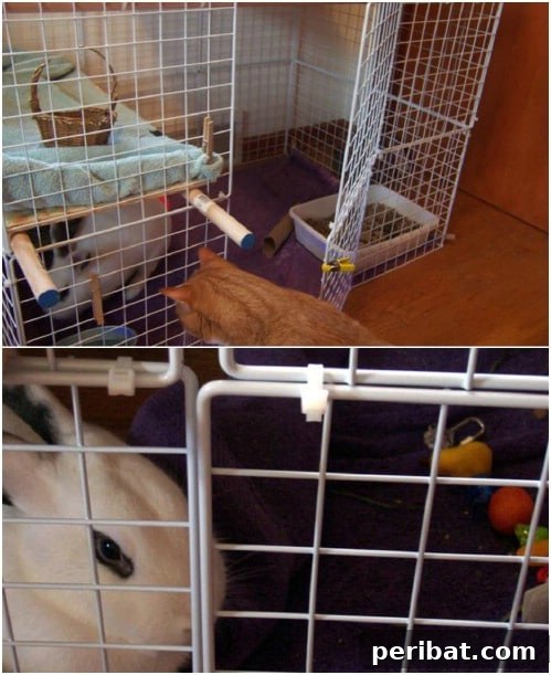 Effortless Bunny Keeping 10 Free DIY Rabbit Hutch Blueprints 10 Upcycled Wire Storage Cube Bunny Condo