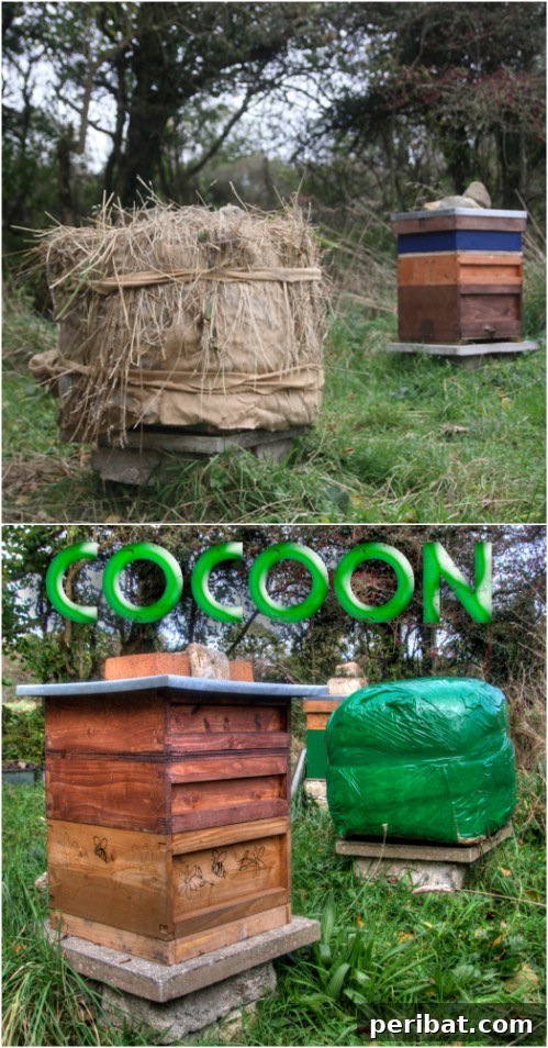 DIY Wrap Up Beehive With Environmental Monitoring