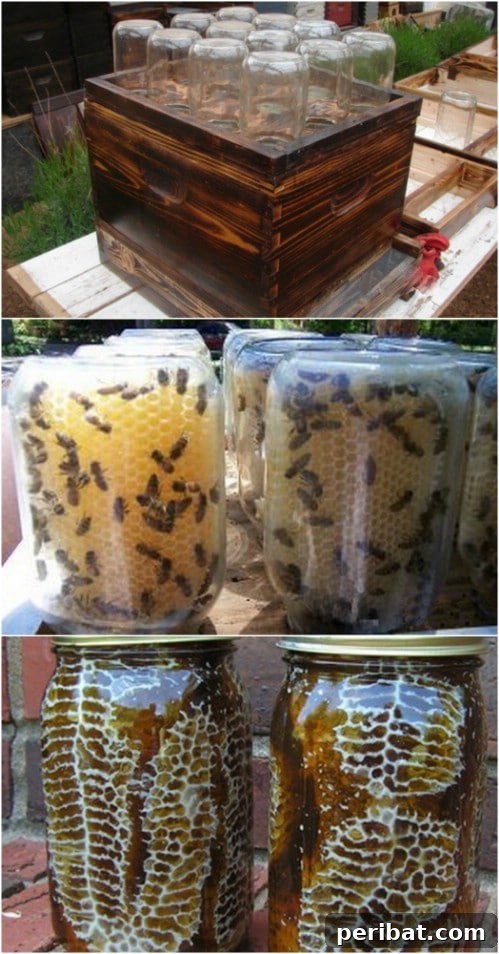Easy DIY Beehive In A Jar
