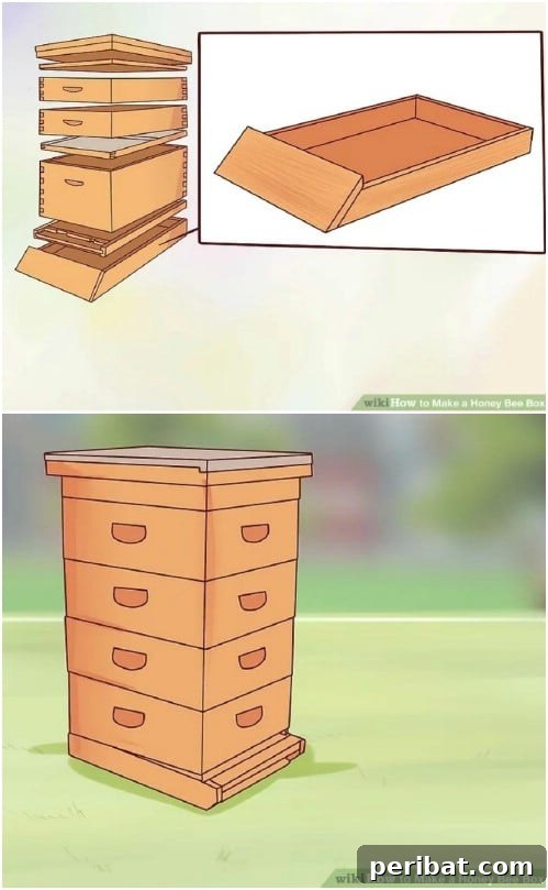 Easy To Build Honey Bee Box