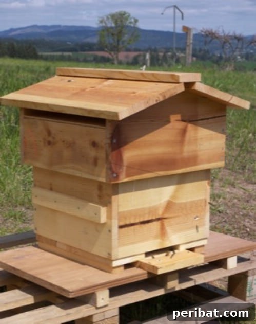 Quick And Easy DIY Warre Beehive