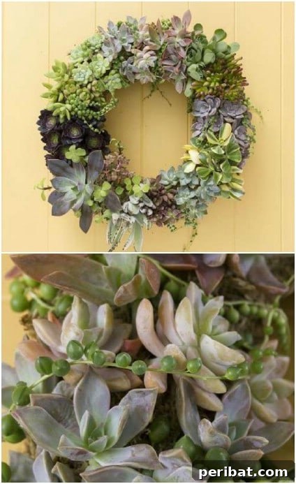 DIY Succulent Wreath