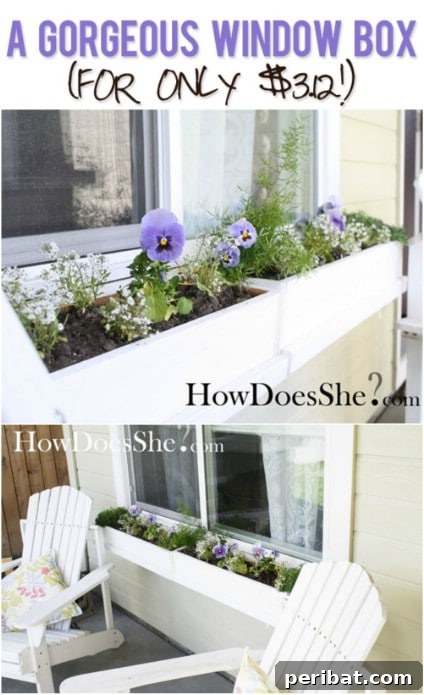 Amazing $3 Window Box