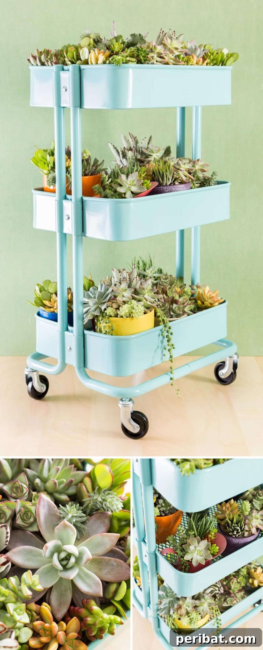 Unlock Your Garden's Potential: 12 Genius IKEA Hacks 3 A sleek IKEA bar cart, creatively repurposed into a multi-tiered succulent planter, showcasing a vibrant collection of small, drought-tolerant plants on its shelves, adding a modern touch to outdoor decor.