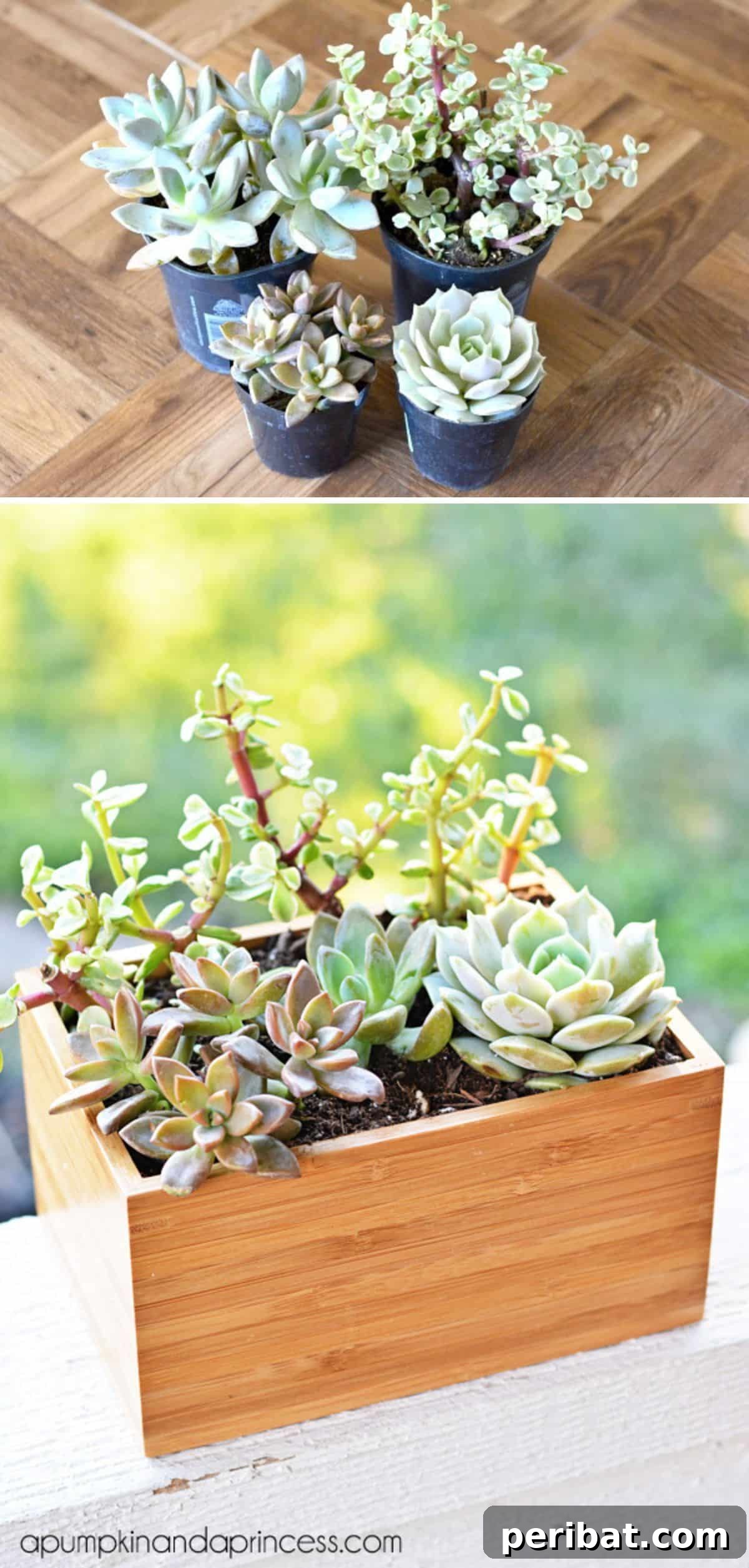 Unlock Your Garden's Potential: 12 Genius IKEA Hacks 5 A Dragan bamboo box from IKEA, artistically repurposed into a succulent planter, featuring a thriving arrangement of colorful succulents nestled within the natural wood, creating a stylish focal point for garden or patio decor.