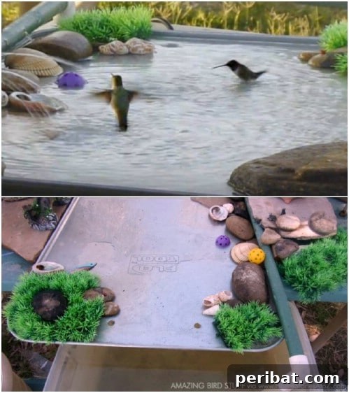 Repurposed Oil Pan Bird Bath