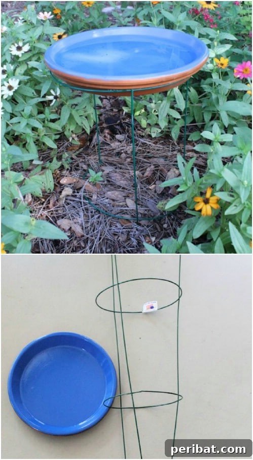 DIY Tomato Cage Bird Bath with Ceramic Plate