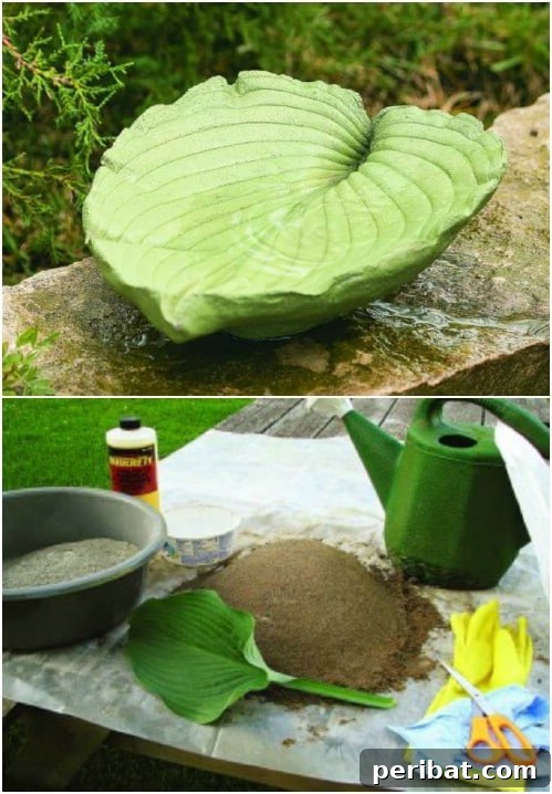 DIY Concrete Leaf Shaped Bird Bath for Garden