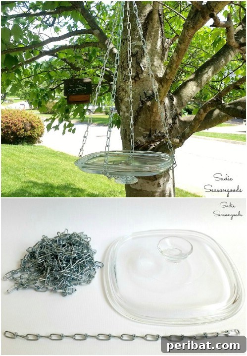 Upcycled Glass Lid Hanging Bird Bath from Tree