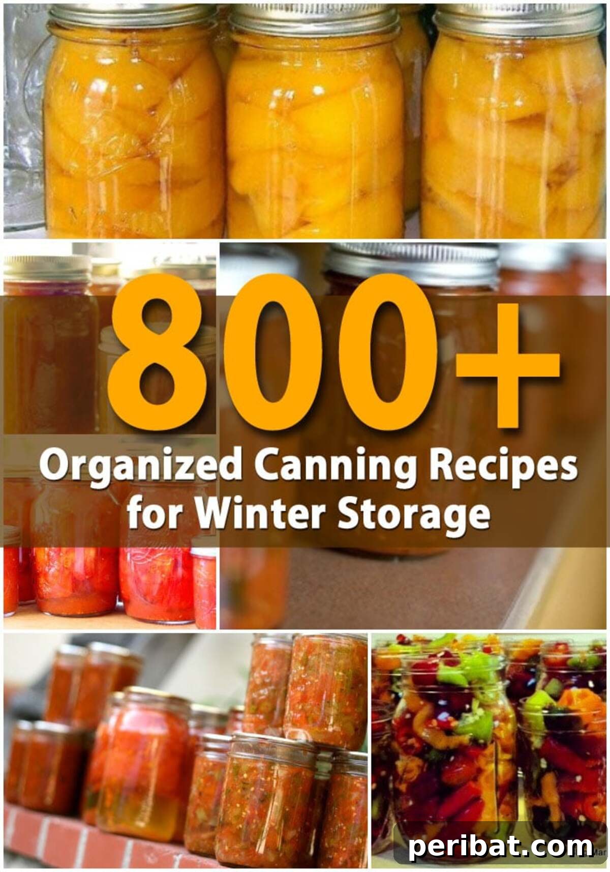 800+ Organized Canning Recipes for Winter Storage pitnerest image.