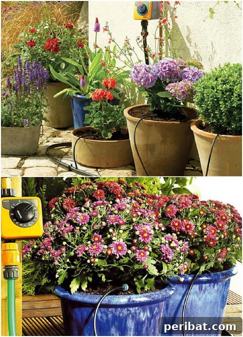 DIY Water Dripper System Setup with Garden Hose