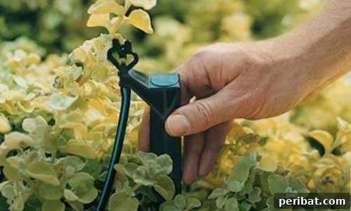 Cheap DIY Drip Irrigation System for In-Ground Gardens