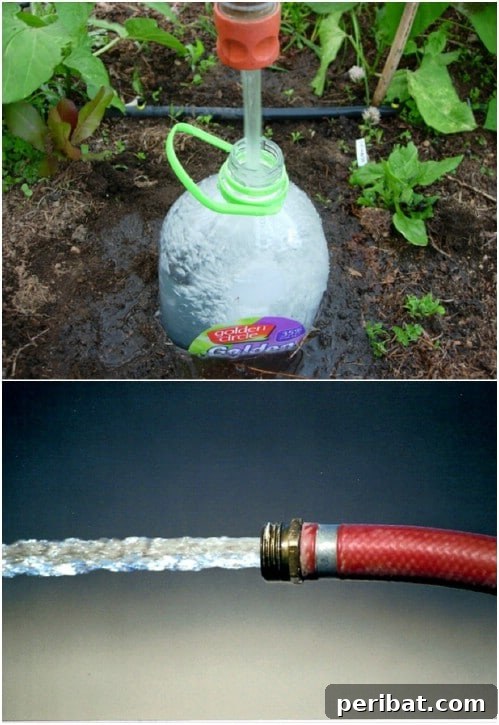 Repurposed Plastic Bottle Drip Irrigation for Plants