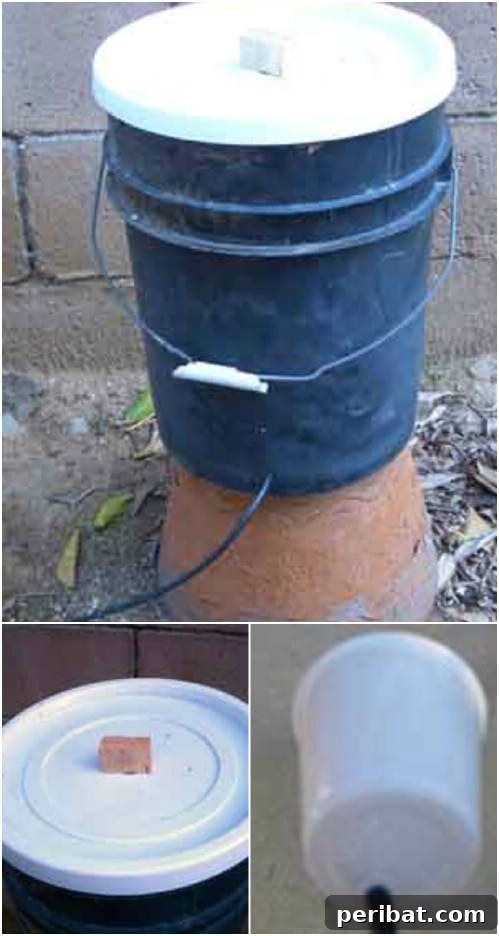 Simple 5-Gallon Bucket Drip Irrigation System