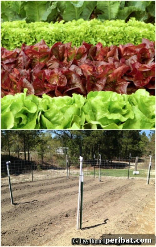 DIY PVC Pipe Sprinkler System for Garden