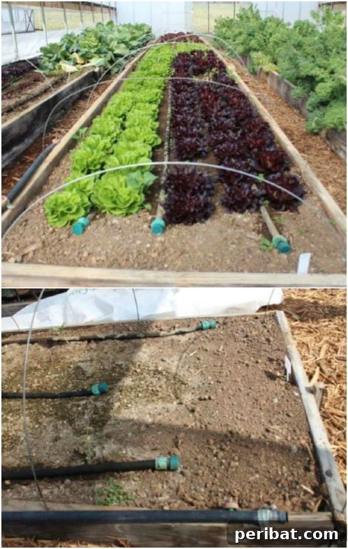 Dual System DIY Irrigation for Raised Beds and Ground Gardens