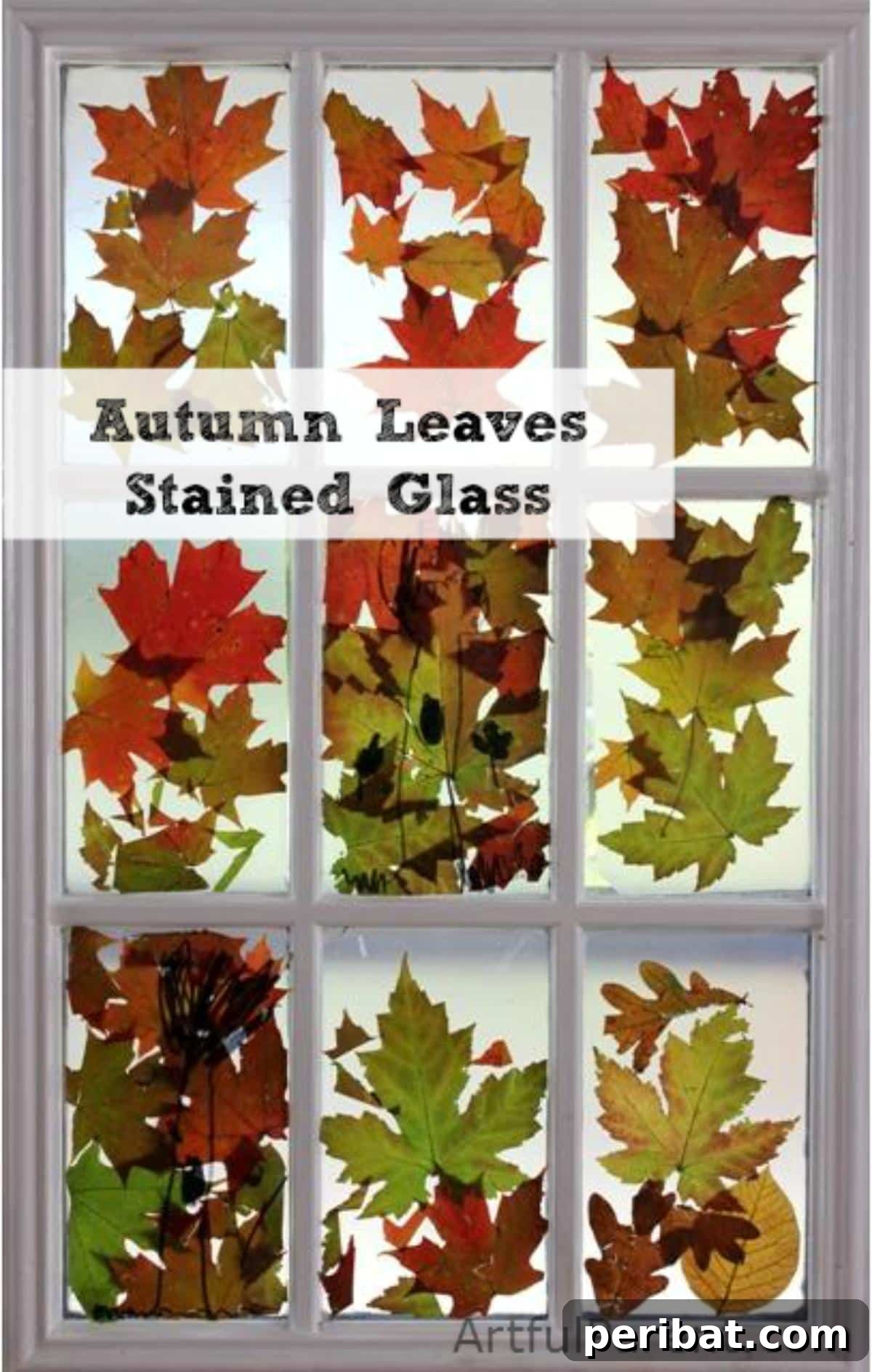 Autumn's Bounty: Creative Leaf Crafts for Young Explorers 19 Autumn Leaf Stained Glass, leaves arranged on transparent contact paper for a window.