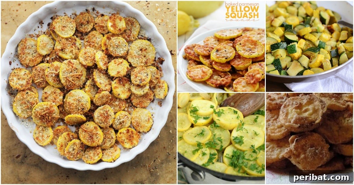 18 Summer Squash Recipes So Good, Even Fussy Eaters Ask For Seconds 2 17 Delicious Summer Squash Recipes Even Your Picky Eaters Will Love