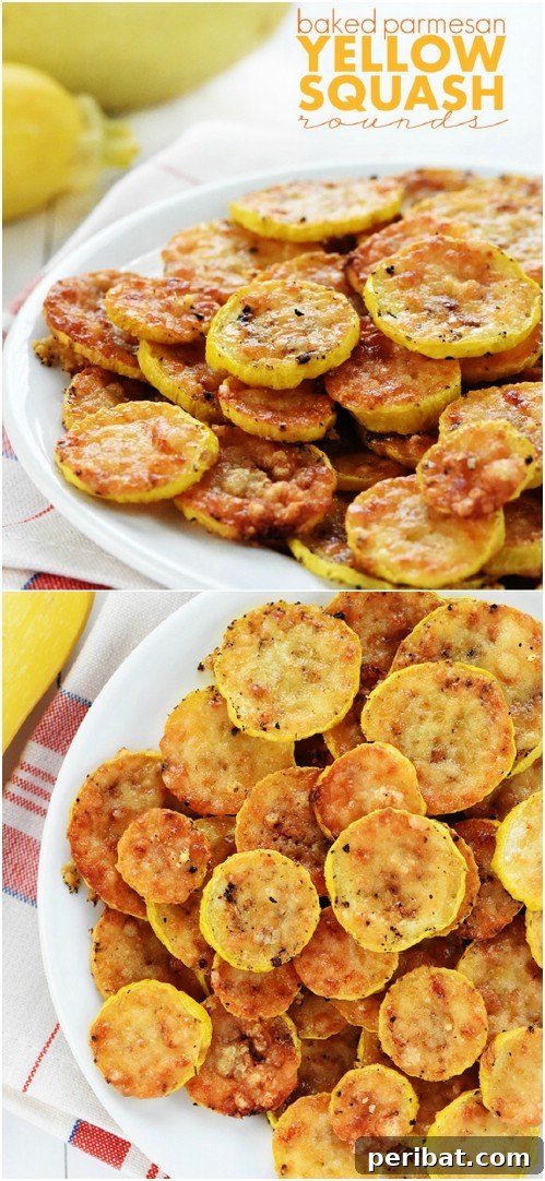 18 Summer Squash Recipes So Good, Even Fussy Eaters Ask For Seconds 5 Baked Parmesan Yellow Squash