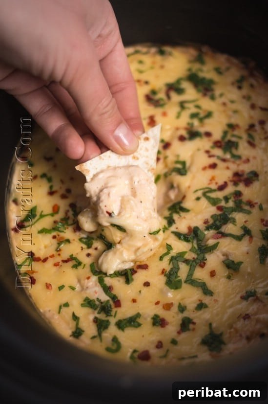 This Yummy Cheese Dip Is Perfect For Your Next Party