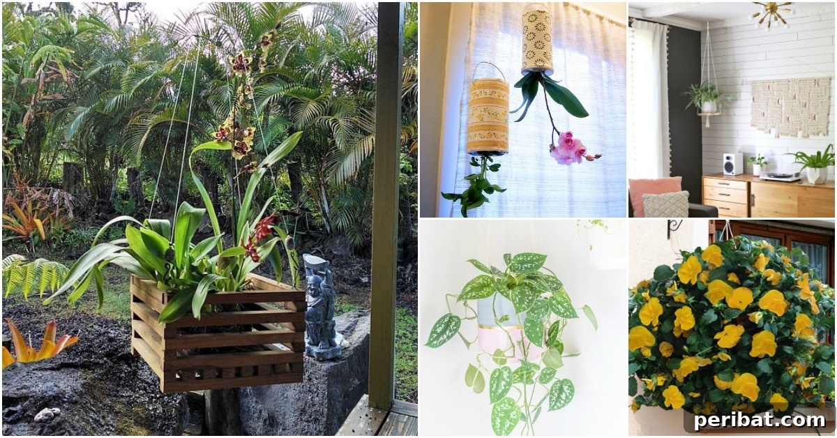 Simple, Stylish DIY Hanging Planters to Transform Your Space 2 DIY Hanging Planters for Indoor and Outdoor Decor