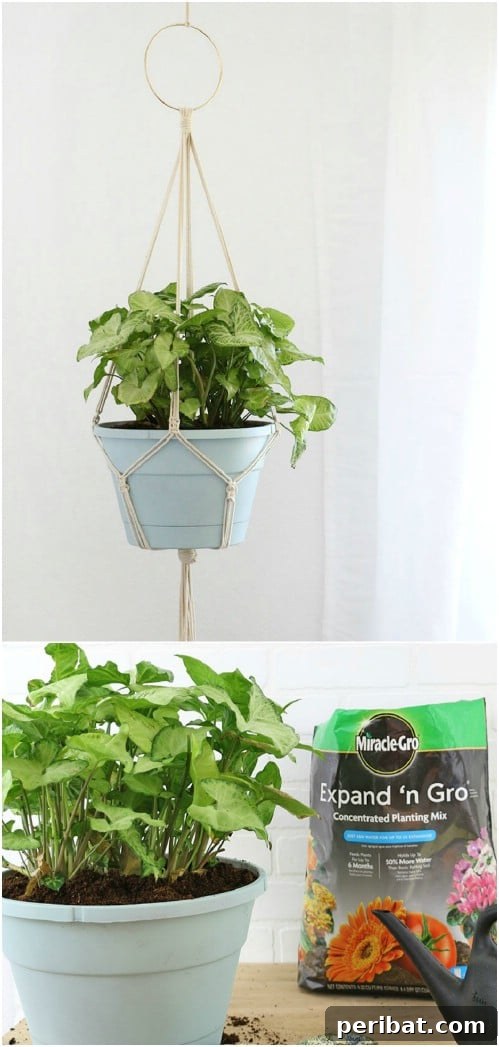Simple, Stylish DIY Hanging Planters to Transform Your Space 16 DIY Macramé Hanging Planter with Knotted Rope